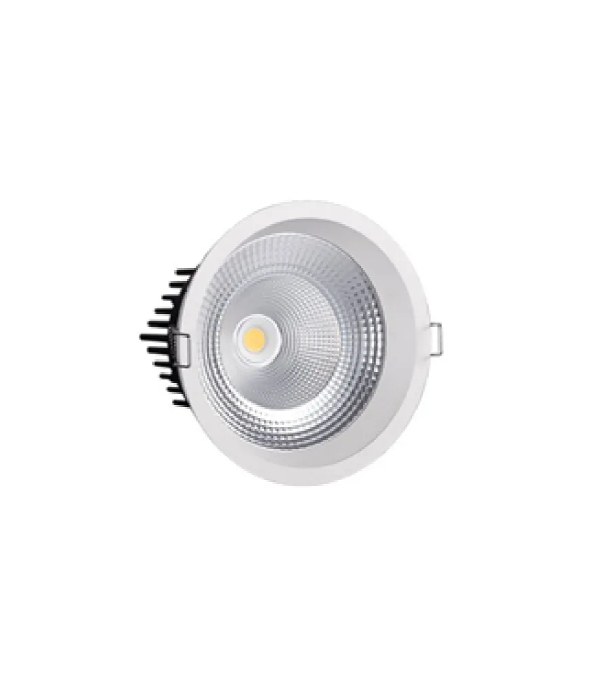 25W DOWNLIGHT SPOT